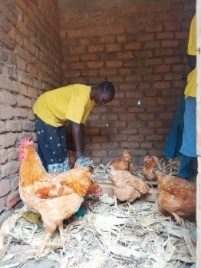 Ajiko Jesca with her poultry