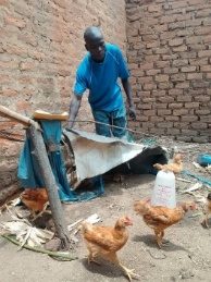 Ajiko Jesca poultry project