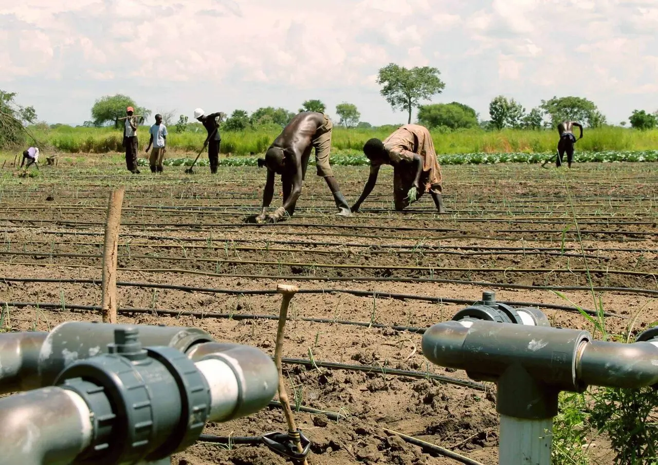 Water for Production